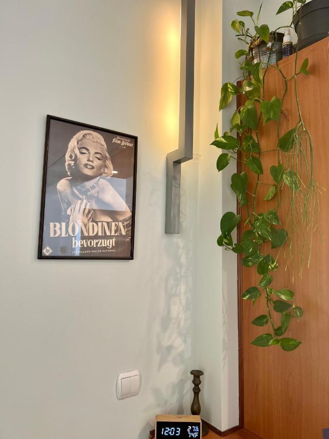 One-Bedroom Premier Apartment